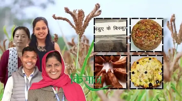 Ragi Crop: रागी की फसल से क्या-क्या तैयार किया जा सकता है? रागी की खेती से जुड़ी अहम जानकारी