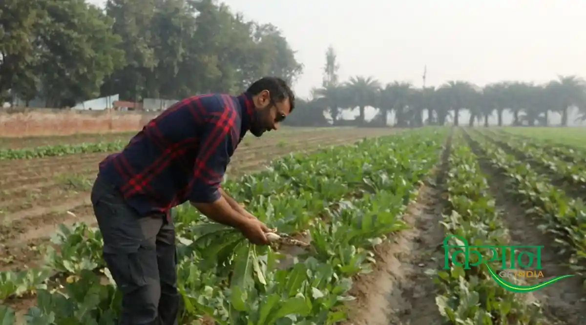 Urban Farming Trends कैसे शहरी खेती 4