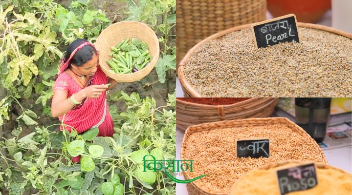 Drought Resistant Crops सूखाग्रस्त क्षेत्रों में खेती