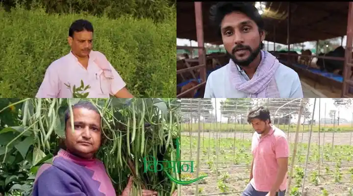 Organic Farming Benefits & Profit जैविक खेती के फ़ायदे