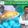 Ornamental Fish Farming In India भारत में सजावटी मछली पालन व्यवसाय