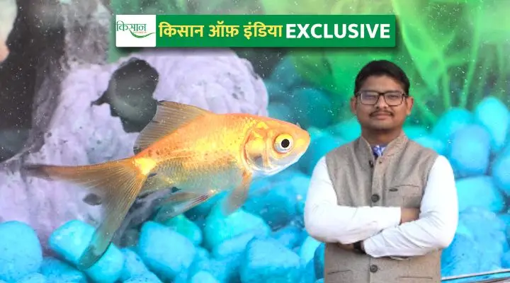 Ornamental Fish Farming In India भारत में सजावटी मछली पालन व्यवसाय