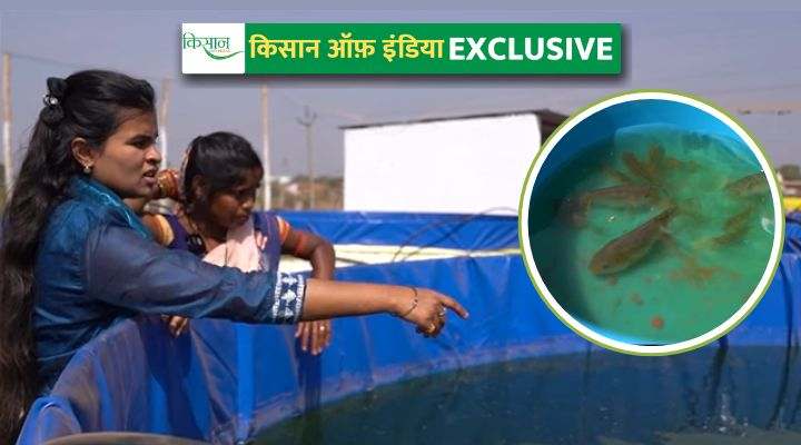 बायोफ्लॉक मछली पालन