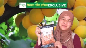 खुबानी की खेती apricot cultivation apricot products