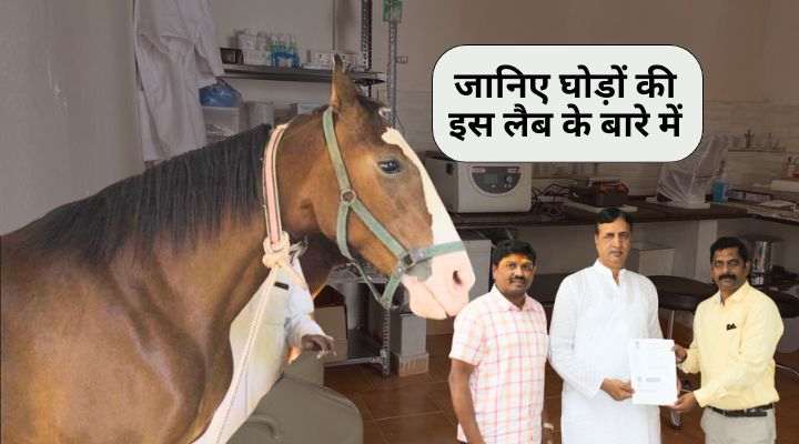 घोड़ों के प्रजनन की लैब