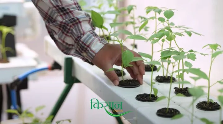 Equipments For Hydroponic Farming हाइड्रोपोनिक खेती के उपकरण