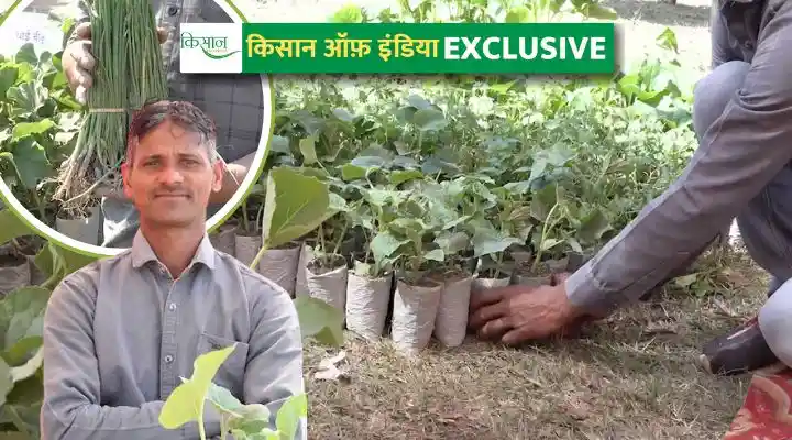 Vegetable Nursery Guide सब्ज़ियों की नर्सरी