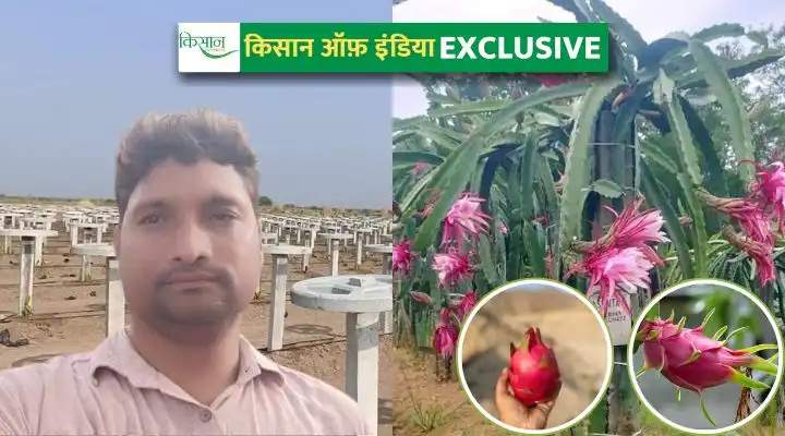 ड्रैगन फ़्रूट