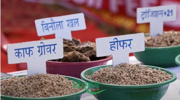 पशुओं के लिए संतुलित आहार (Balanced Diet for Livestock)