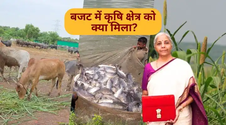 बजट में कृषि क्षेत्र को क्या मिला