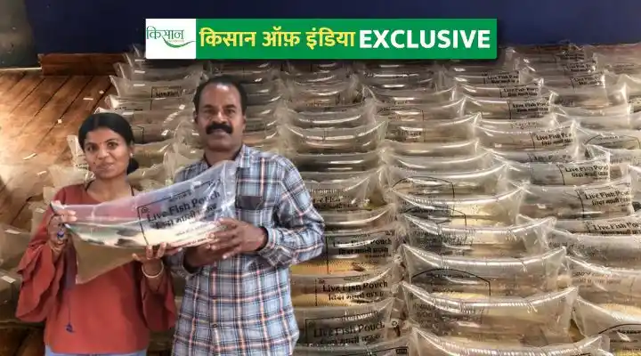 लाइव फ़िश पैकिंग live fish packing technique