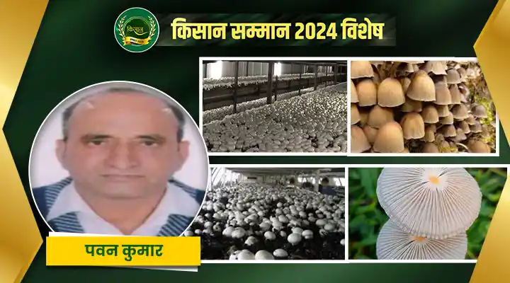 हाईटेक मशरूम प्रोडक्शन में किसान पवन कुमार ने क़ायम किए नए कीर्तिमान