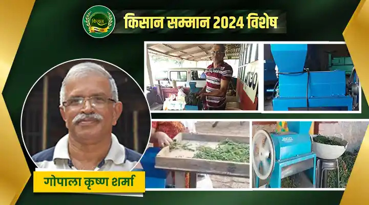 काली मिर्च की खेती में नवाचार की मिसाल बने गोपाला कृष्ण शर्मा, जानिए उनकी कहानी