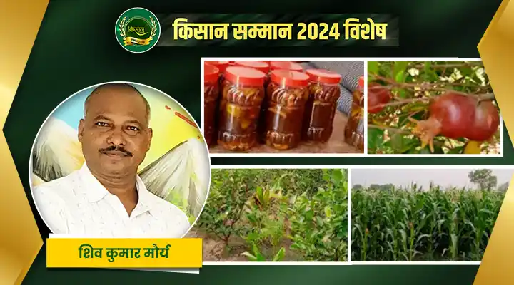 खाद्य प्रसंस्करण Food Processing