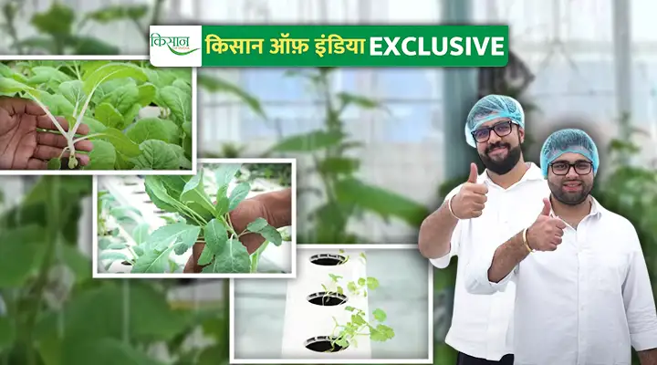 हाइड्रोपोनिक तकनीक Hydroponic Techniques