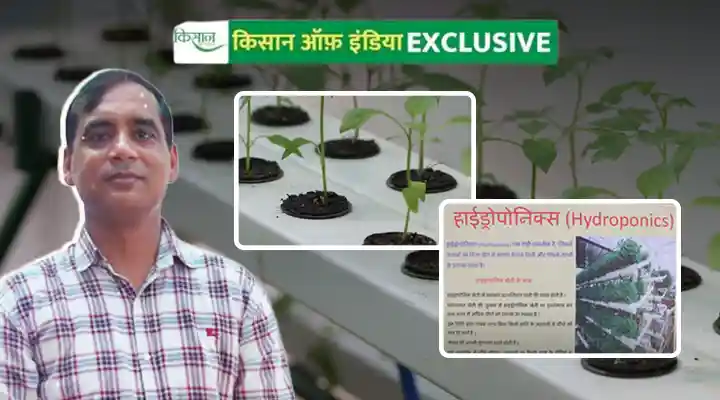 हाइड्रोपोनिक तकनीक Hydroponic Techniques
