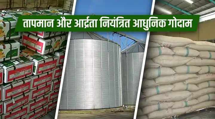 Agri Warehousing Innovations तापमान और आर्द्रता नियंत्रित आधुनिक गोदाम