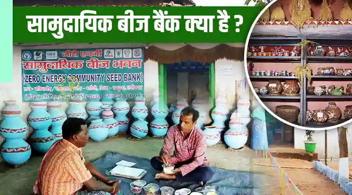 Community Seed Banks सामुदायिक बीज बैंक