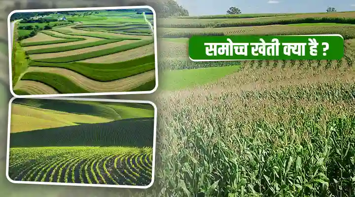 Contour Farming समोच्च खेती