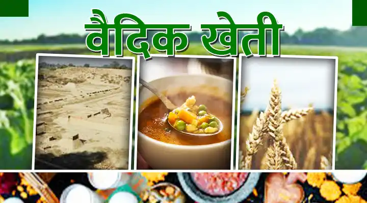 Vedic Farming : प्राचीन वेदों से सीखें टिकाऊ खेती के अद्भुत रहस्य