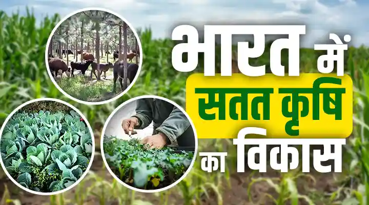 Sustainable Agriculture: सतत कृषि क्या है? राष्ट्रीय सतत कृषि मिशन कैसे दे रहा अपना योगदान, जानिए विस्तार से
