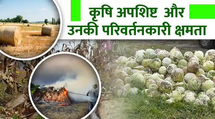 Agro-Waste Management और इसकी क्षमता पर वैज्ञानिक दृष्टिकोण, कैसे बनाएं कचरे से संपत्ति ?