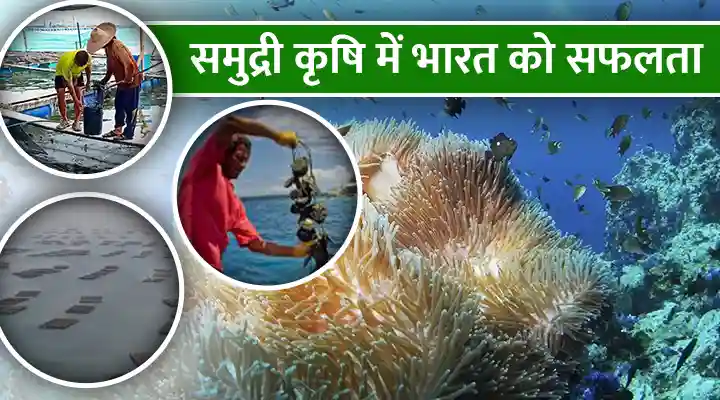 India's success in Mariculture: जाइंट ट्रेवली मछली के प्रजनन में ICAR-CMFRI को बड़ी सफ़लता