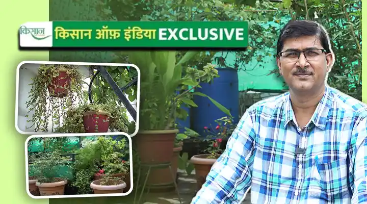 Terrace Garden टेरेस गार्डन
