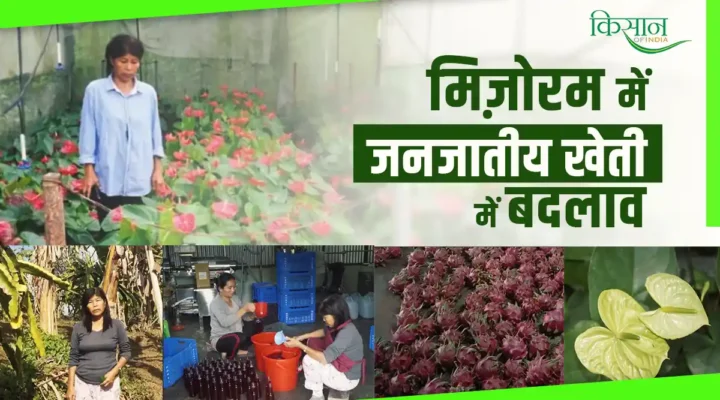 Mizoram की महिला किसान लालछुआनवमी एकीकृत कृषि प्रणाली से छू रहीं सफलता की नई ऊंचाई