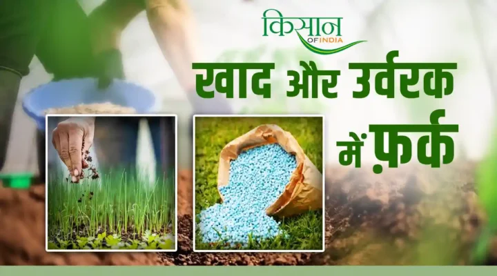 Manure vs Fertilizers: खाद और उर्वरक में होते हैं कन्फ्यूज़ तो जानें इनके बीच का ये ख़ास अंतर