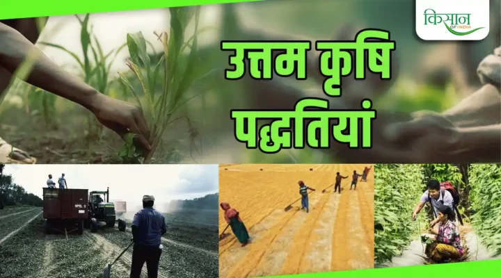 Best Agricultural Practice : उन्नत खेती के लिए उत्तम कृषि पद्धतियों को अपनाकर बनें सफल किसान