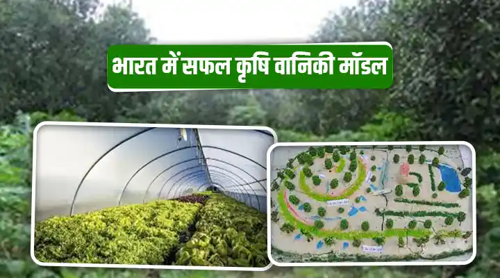 भारत में सफल कृषि वानिकी मॉडल की खोज : अभ्यास, लाभ और सफलता के मुख्य कारक