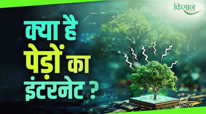 पेड़ों का इंटरनेट Internet of trees new Technology