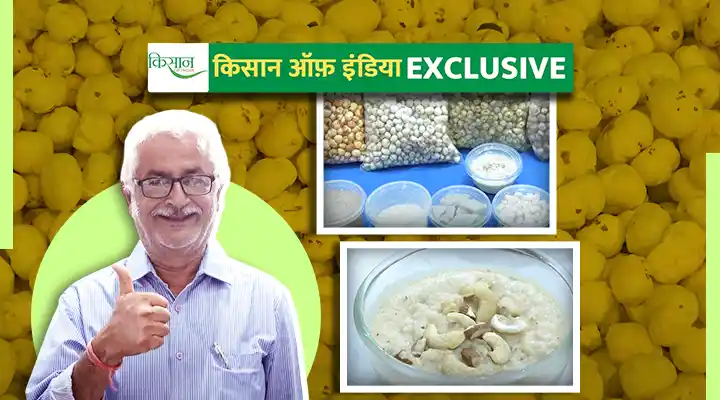 मखाना का उत्पादन Production of Makhana