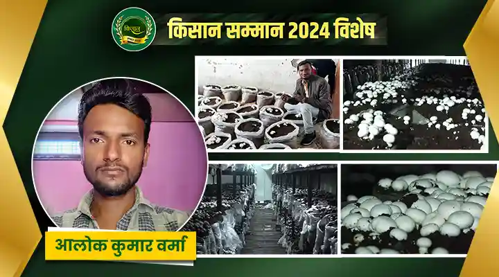 मशरूम उत्पादन Mushroom Production