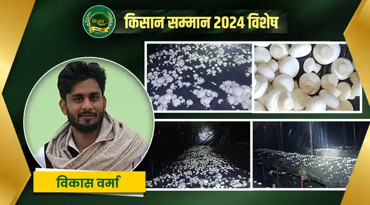 मशरूम की खेती Mushroom Cultivation