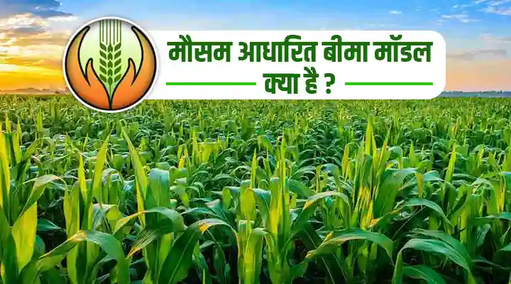 मौसम आधारित बीमा मॉडल Weather based insurance model