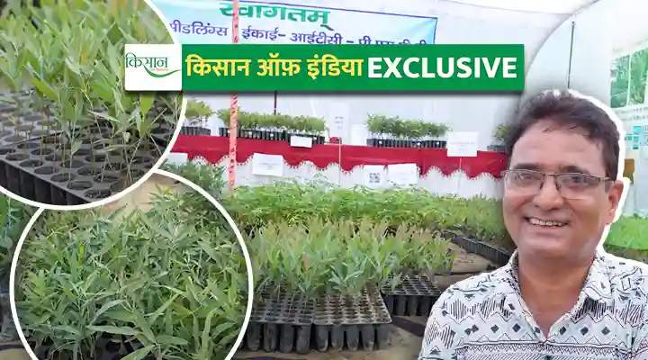 यूकेलिप्टस और मालाबार खेती Eucalyptus and Malabar farming
