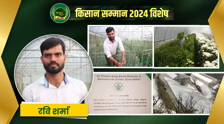 Organic Farming: हिमाचल की वादियों में किसान रवि शर्मा कर रहे जैविक खेती