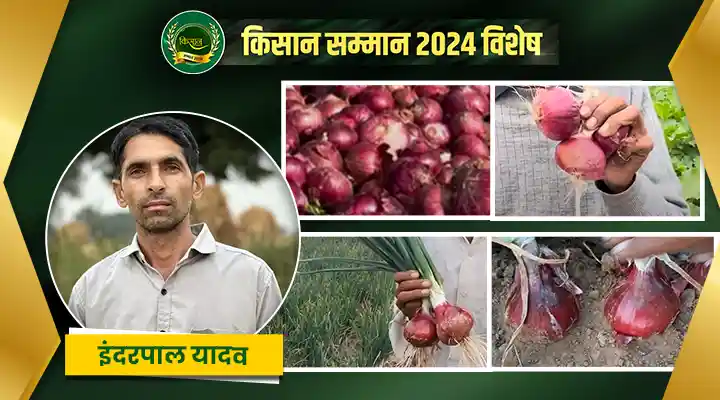लाल प्याज की खेती