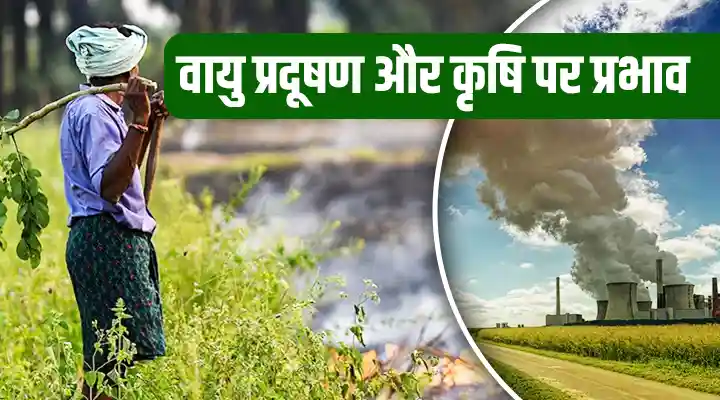 वायु प्रदूषण और कृषि पर प्रभाव Air pollution and impact on agriculture