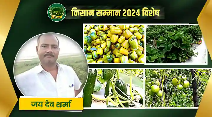 संरक्षित खेती Protected Cultivation