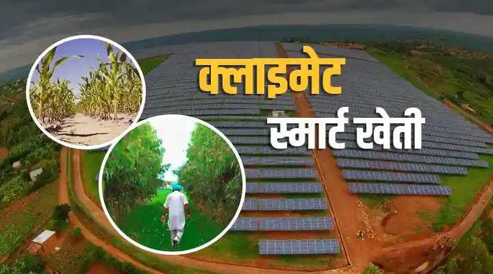 Climate Smart Agriculture: जलवायु-स्मार्ट खेती कैसे जलवायु परिवर्तन के बीच बन सकती है सुरक्षा शील्ड
