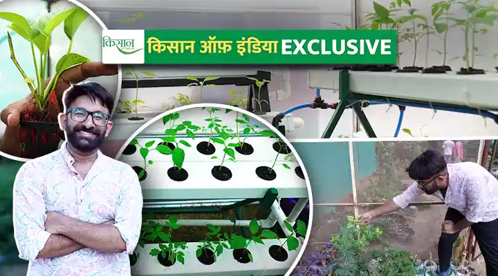 हाइड्रोपोनिक यूनिट और वर्टिकल खेती Hydroponic Units and Vertical Farming
