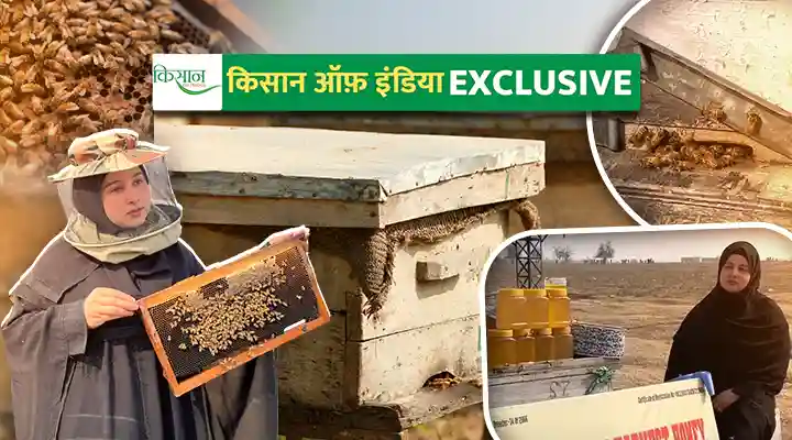 Beekeeping मधुमक्खी पालन
