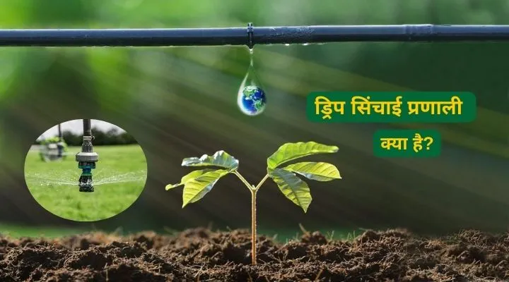 Drip Irrigation System ड्रिप सिंचाई प्रणाली