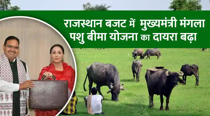 Mukhyamantri Mangla Pashu Bima Yojana: मुख्यमंत्री मंगला पशु बीमा योजना में पशुपालकों के लिए आर्थिक सुरक्षा की नई पहल