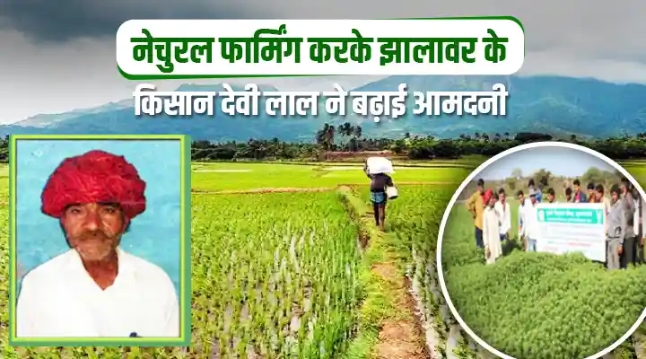 Natural Farming : प्राकृतिक खेती को झालावाड़ में बढ़ावा दे रहे किसान देवी लाल, आमदनी में कई गुना इज़ाफा