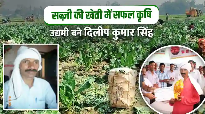 Vegetable Production : सब्ज़ियों की खेती में दिलीप कुमार सिंह बने सफल उद्यमी, मिले सम्मान और पुरस्कार