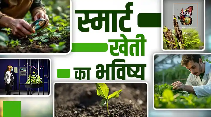 The Future Of Smart Farming: AI-संवर्धित मिट्टी होगी बेहतर पैदावार और सेहतमंद फसल उगाने में मददगार